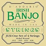 D'Addario J63i Irish Tenor Banjo Strings, Nickel, 9-30