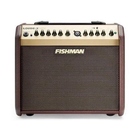 Loudbox Mini Bluetooth 60-Watt Acoustic Guitar Amplifier