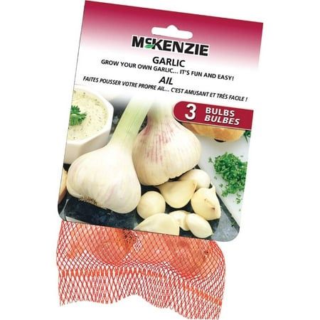 3 Pack Garlic Bulbs
