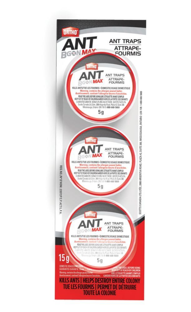 ORTHO Scotts 25401 Indoor/Outdoor Ortho Home Defense Ant Trap