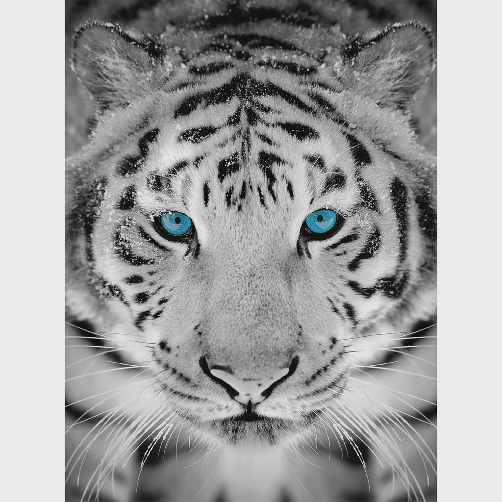 Diamond Dotz Diamond Art - Silver Tiger