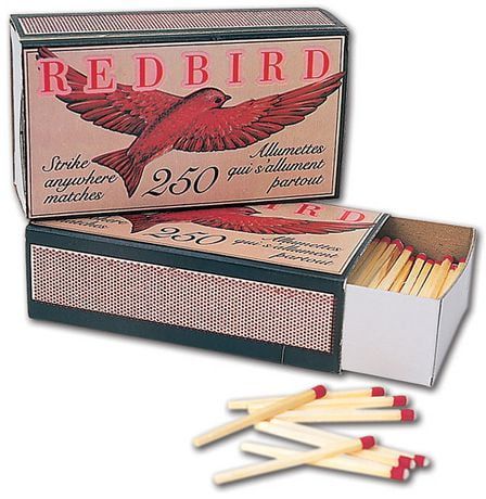 Traditional Medicine