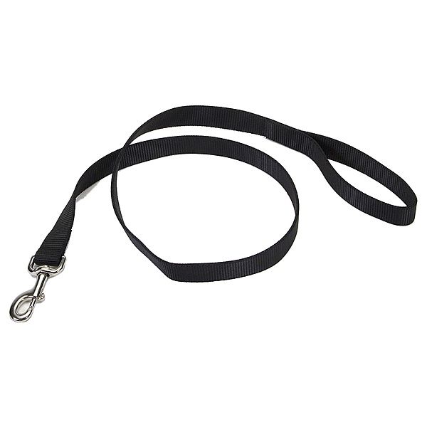 Coastal 6' x 1" Nylon Lead - Black
