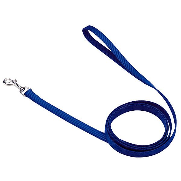 Coastal 4' x 5/8" Nylon Lead - Blue