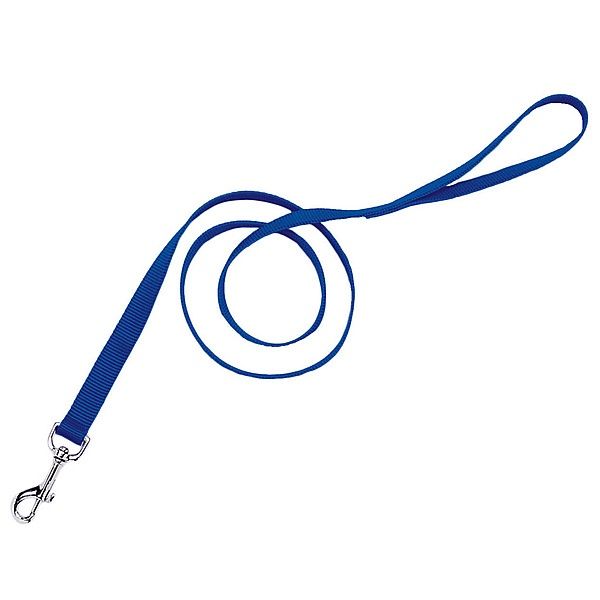Coastal 6' x 3/4" Nylon Lead - Blue