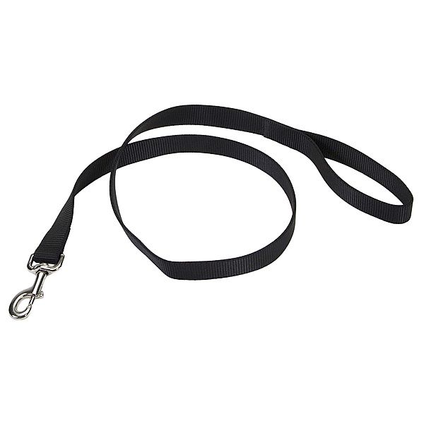 Coastal 6' x 3/4" Nylon Lead - Black