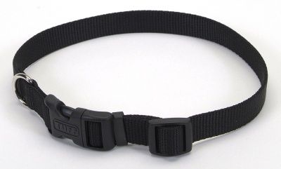 Coastal Pet Nylon Dog Collar Black