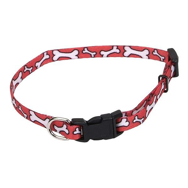 Coastal Li'l Paws XS Nylon Collar - Bones