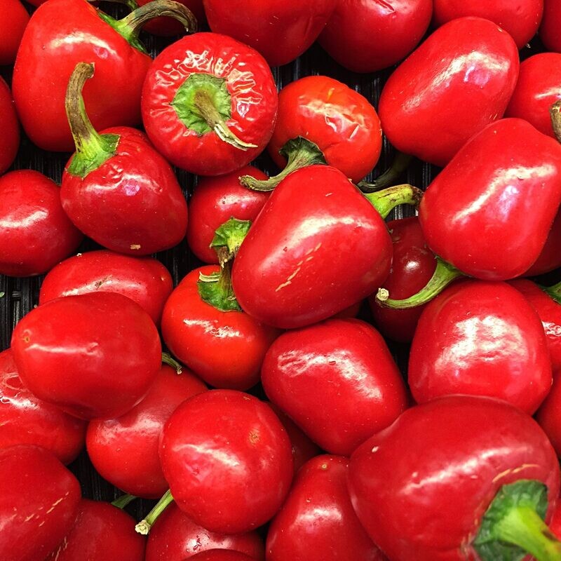 Imported Green Stuffed Olives with Pimento's +/-500g