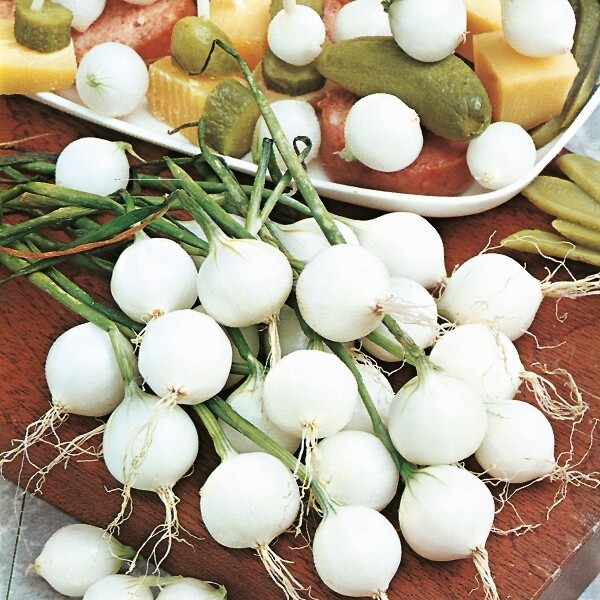 Kühne Pickled Onions 330g