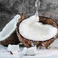 Wilsons Refined Coconut Oil -a product of Modena, Italy. 500ml