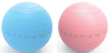 Pure Yoga - Gym Ball