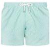 Granadilla - Mens Original Shorts - Warp - Mint