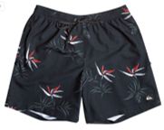 Quiksilver - Volley - Everyday Mix  Volley 17, Sizes: Small