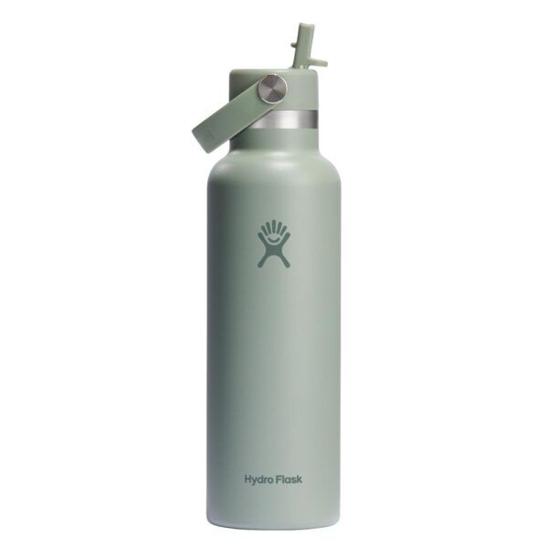 Hydro Flask Standard With Straw Cap 21oz S21CFS