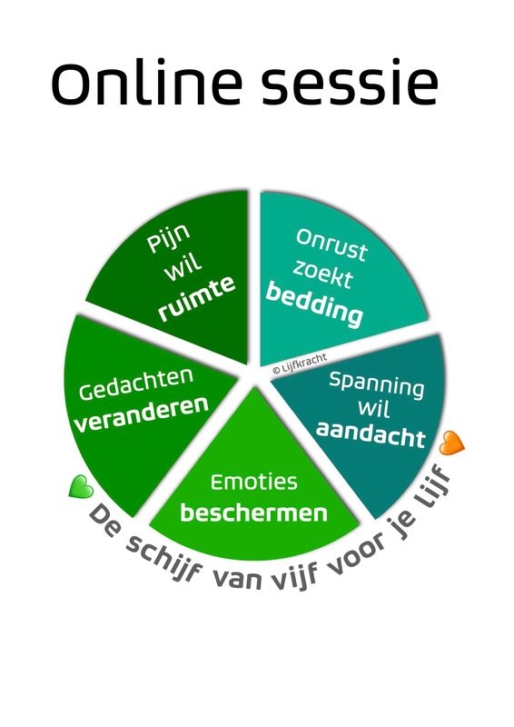 Online sessie 'De schijf van vijf voor je lijf'