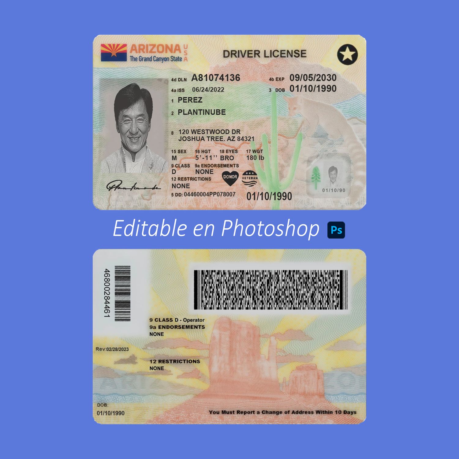 plantilla Licencia de Arizona para editar en Photoshop PSD