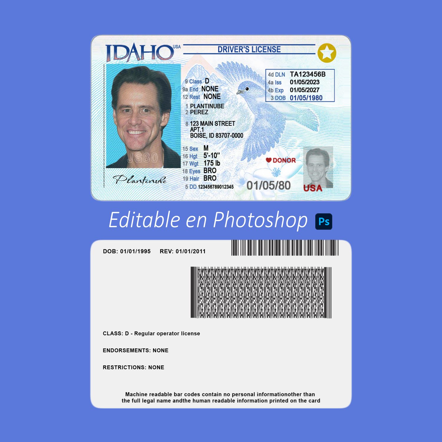 plantilla Licencia de Idaho para editar en Photoshop PSD