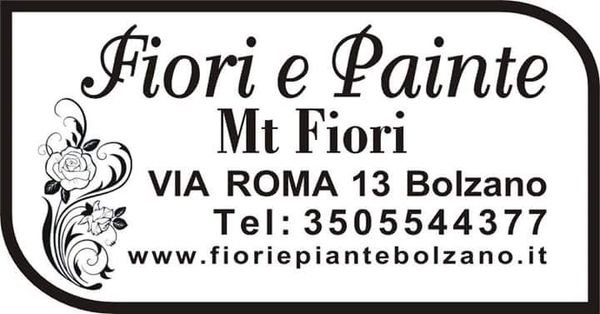 Negozio Online