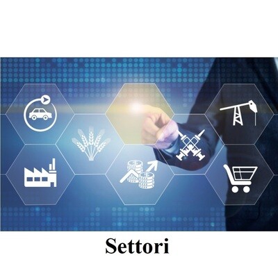 PIP SETTORI SPECIFICI