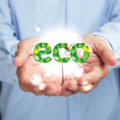Detergenti Eco