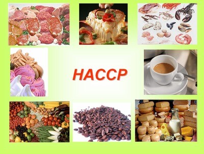 Settore H.a.c.c.p.