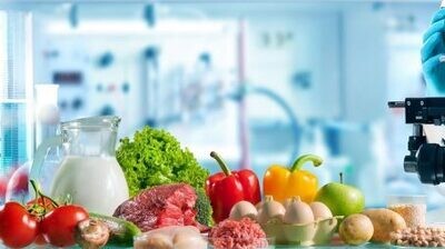 Settore Alimentare Produzione