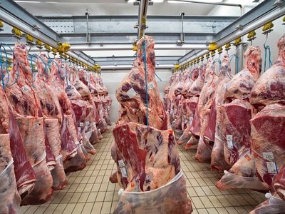 Settore Macelli e Sezionamento Carni