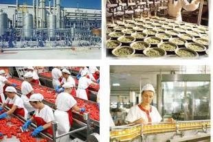 Settore Industria conserviera