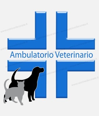 Veterinario