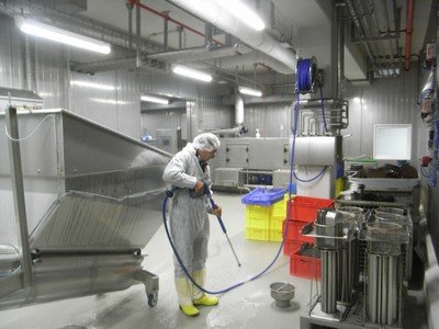 Sanificanti Professionali