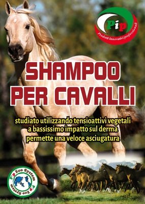 Shampoo