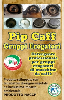 Pip Caff Detergente per Gruppi Erogatori FL. KG.1