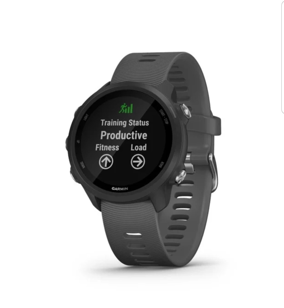 Garmin Forerunner 245 Grigio