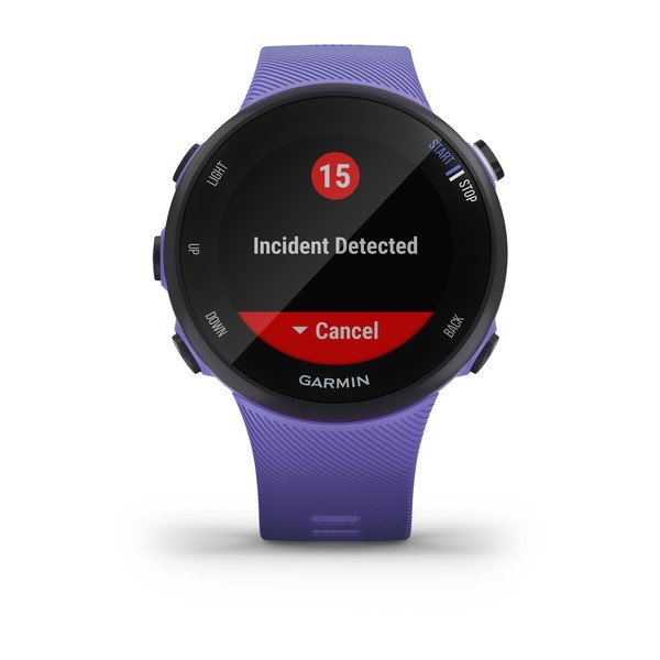 Garmin Forerunner 45S Iris Garmin Forerunner 45S Iris
