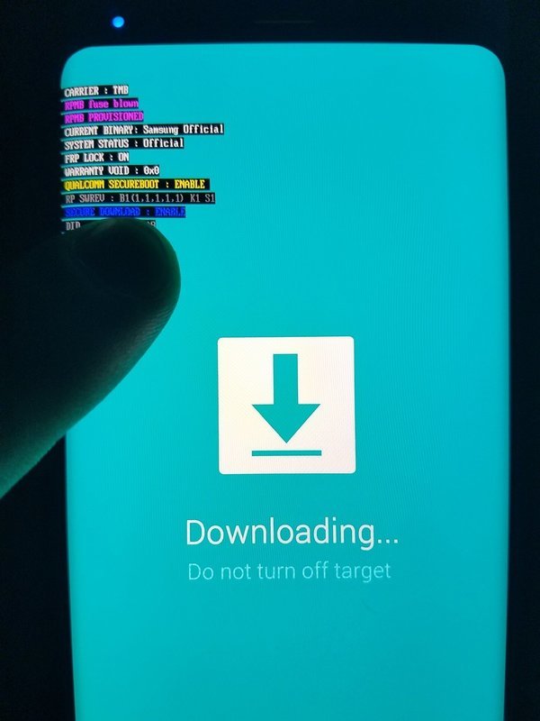 Software Repair