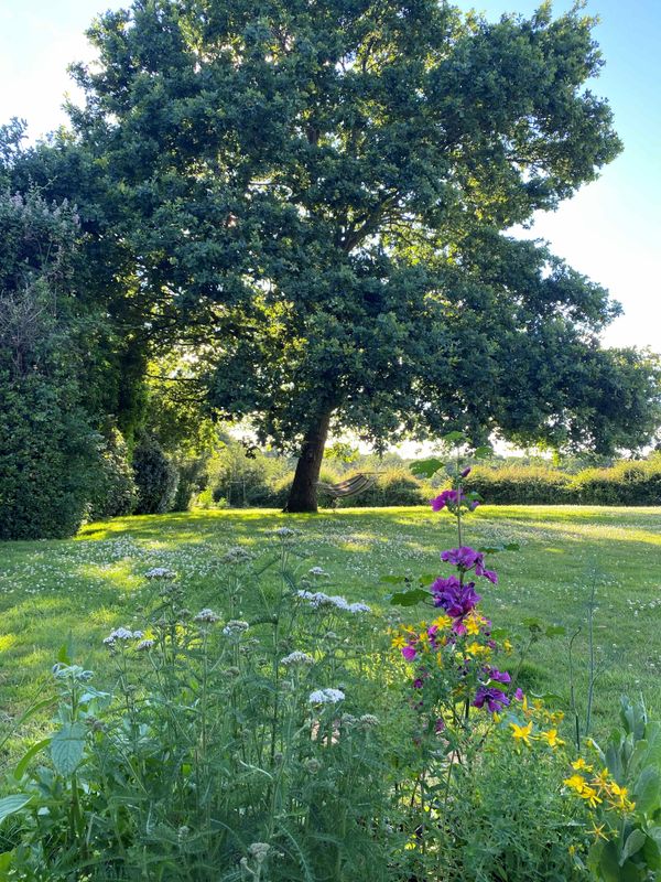 The Earthwise Stillroom: A small garden & stillroom gathering (1–3 guests)