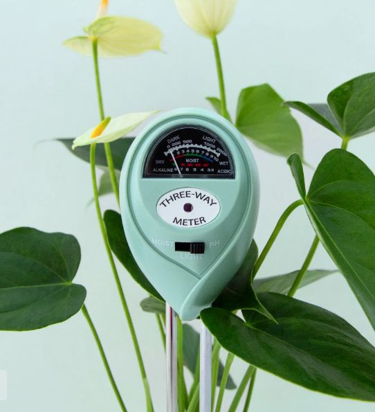 3-in-1 Jungle Club Moisture Meter in Lagoon