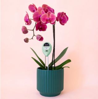 3-in-1 Jungle Club Moisture Meter in Lagoon