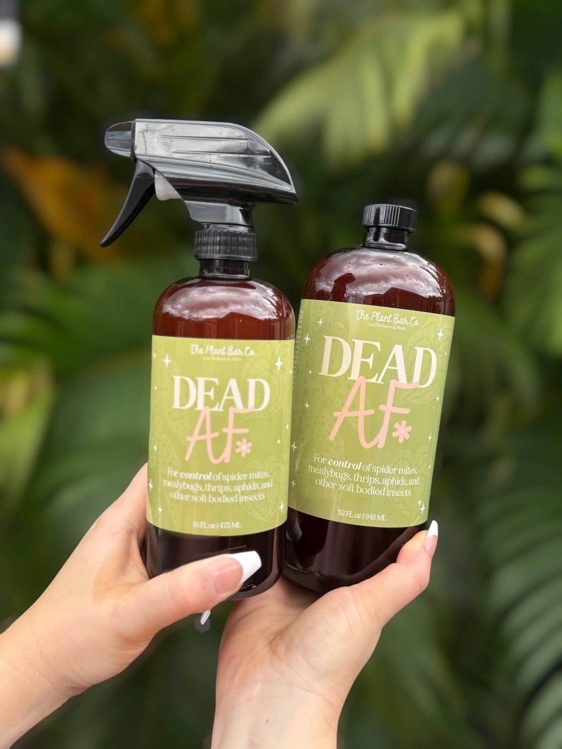 Dead AF - Houseplant Pest Control- 32oz