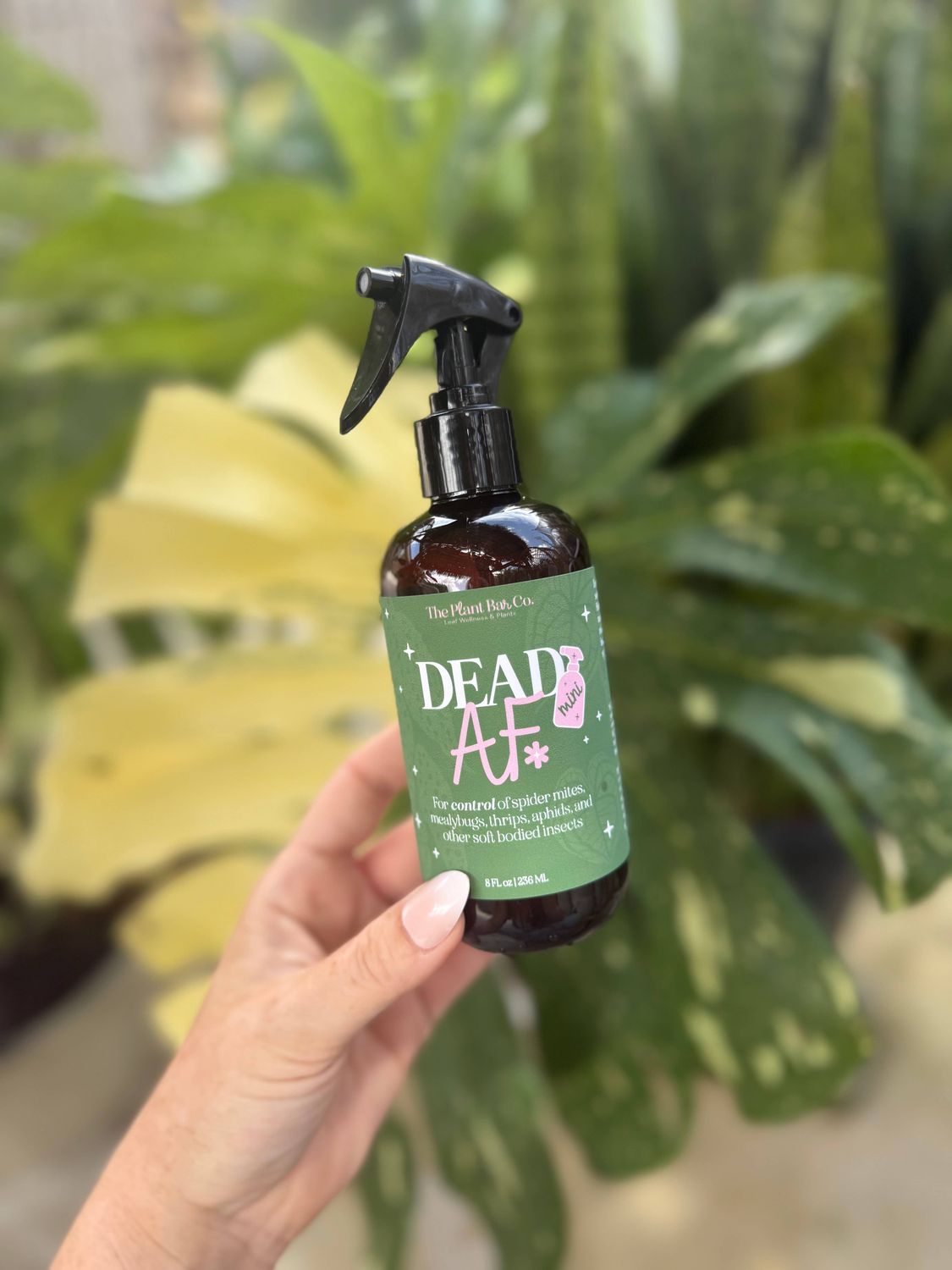 Dead AF - 8oz - Mini