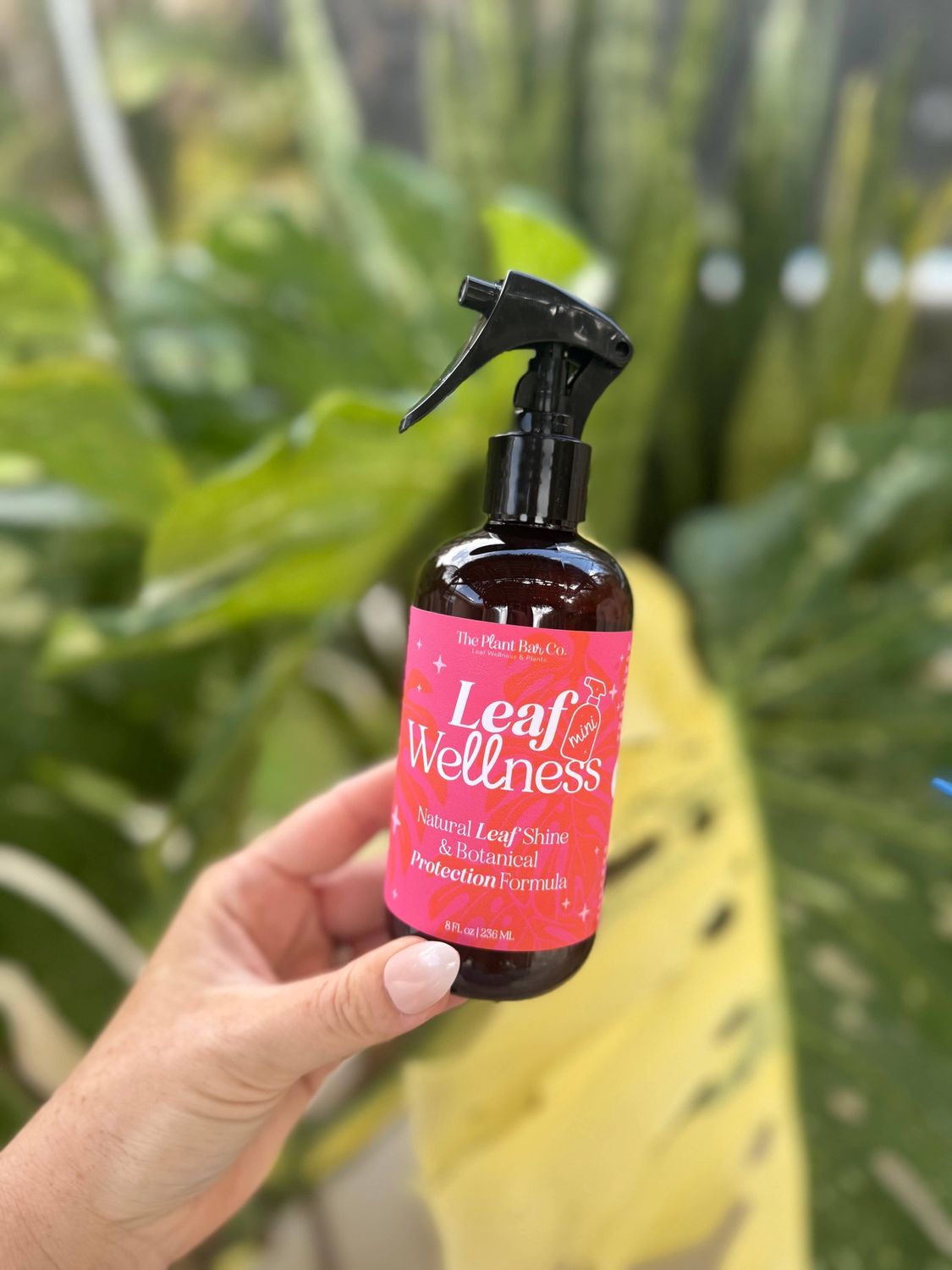 Leaf Wellness - 8oz - Mini