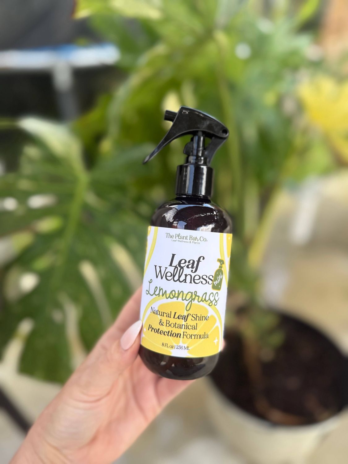 Leaf Wellness Lemongrass - 8oz -Mini