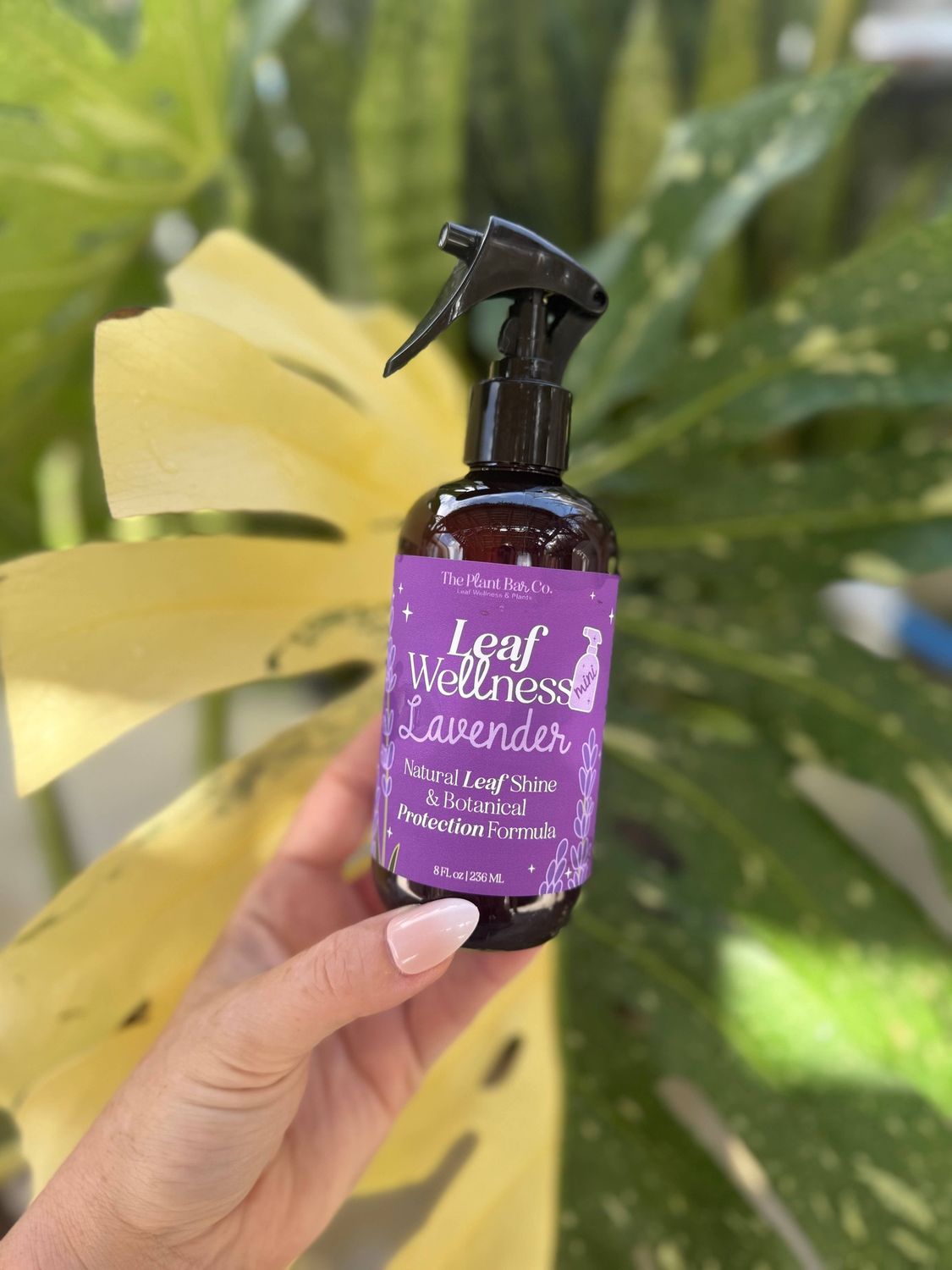Leaf Wellness Lavender - 8oz - Mini