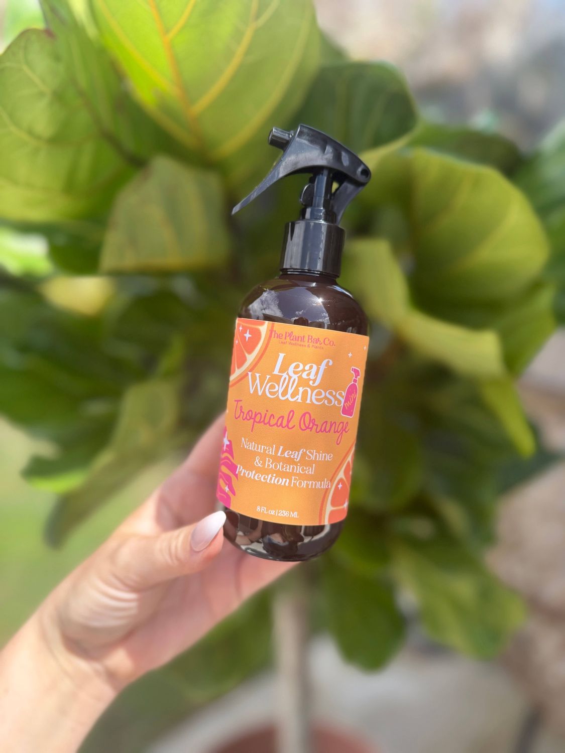 Leaf Wellness Tropical Orange - 8oz - Mini