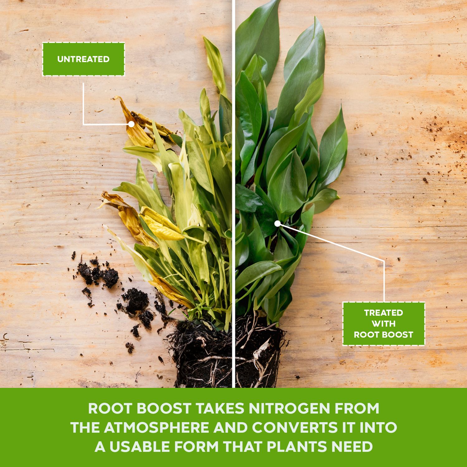 Natural Rooting Powder and Pea Inoculant