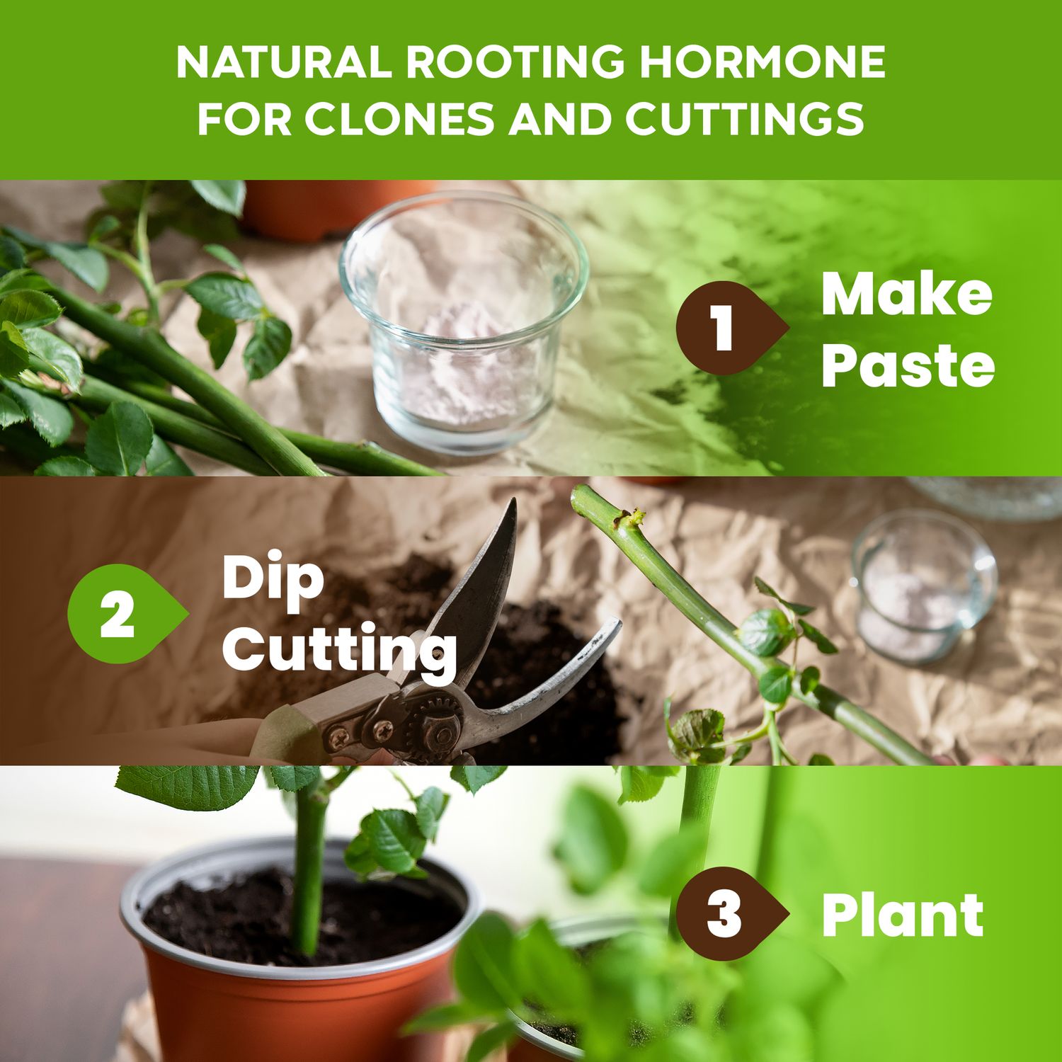 Natural Rooting Powder and Pea Inoculant