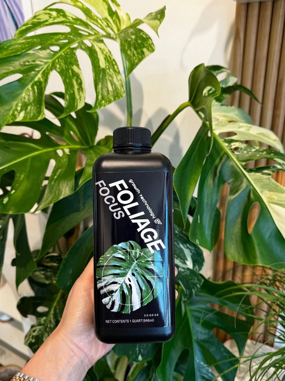 Growth Technology GT Focus Plant Nutrients (1 Litre Size): 1 Litre / Foliage