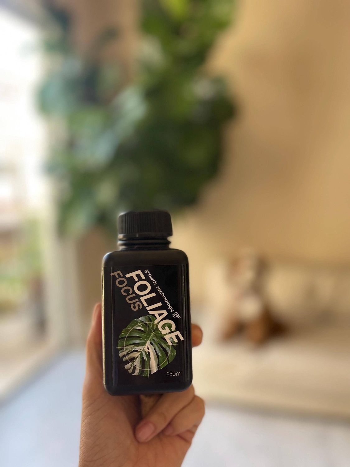 Growth Technology GT Focus Plant Nutrients (1 Litre Size): 1 Litre / Foliage
