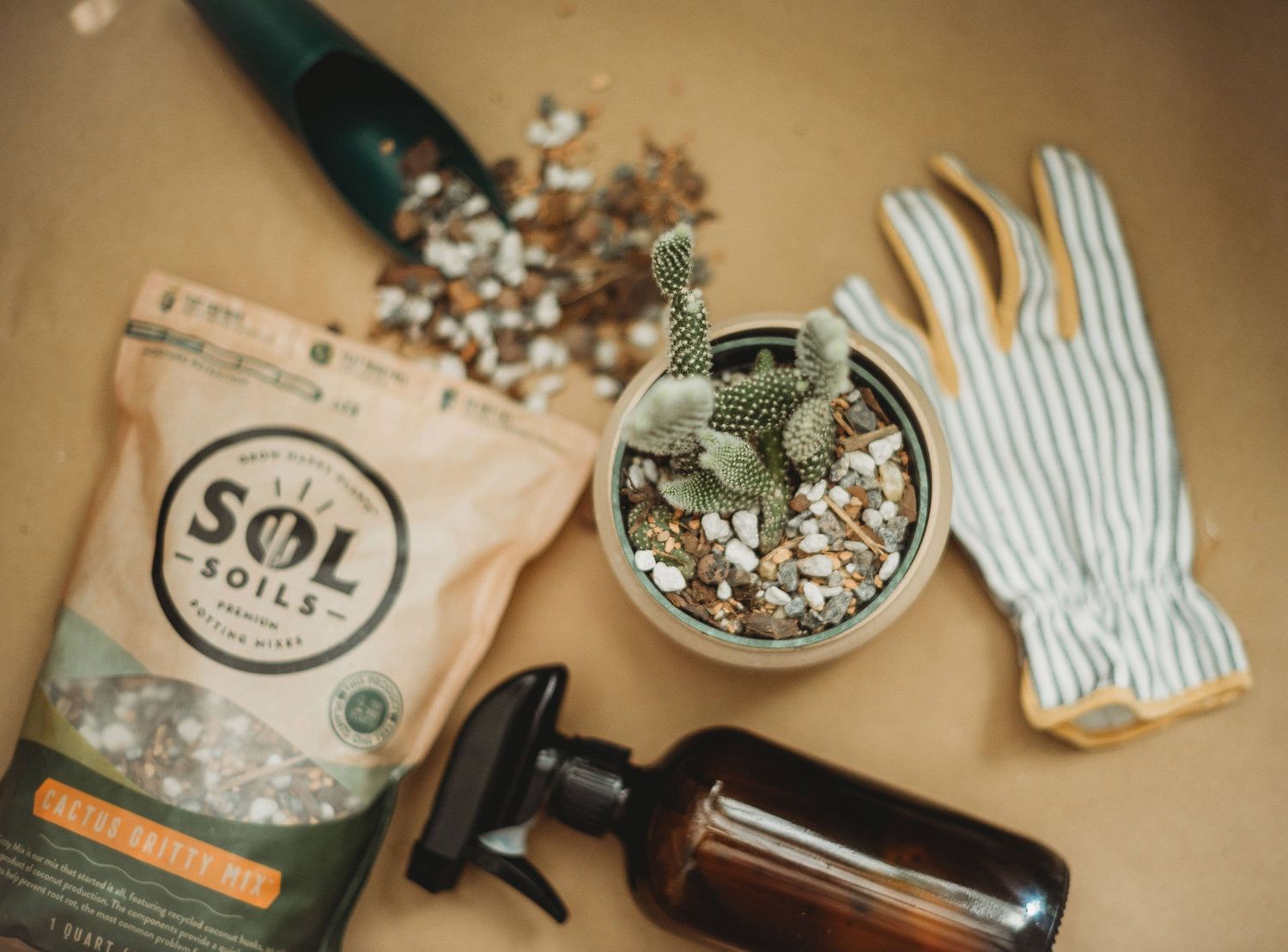 Soil (1Gal) Cactus Gritty Mix (Soilless): 1 Gallon (4 Quarts)